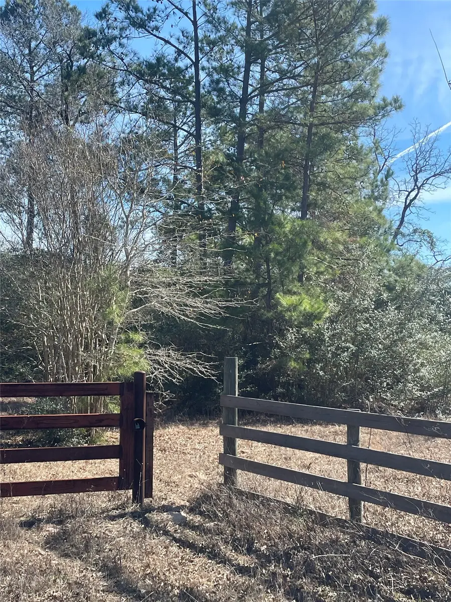 6238 County Road 302, Navasota, TX 77868 - #3