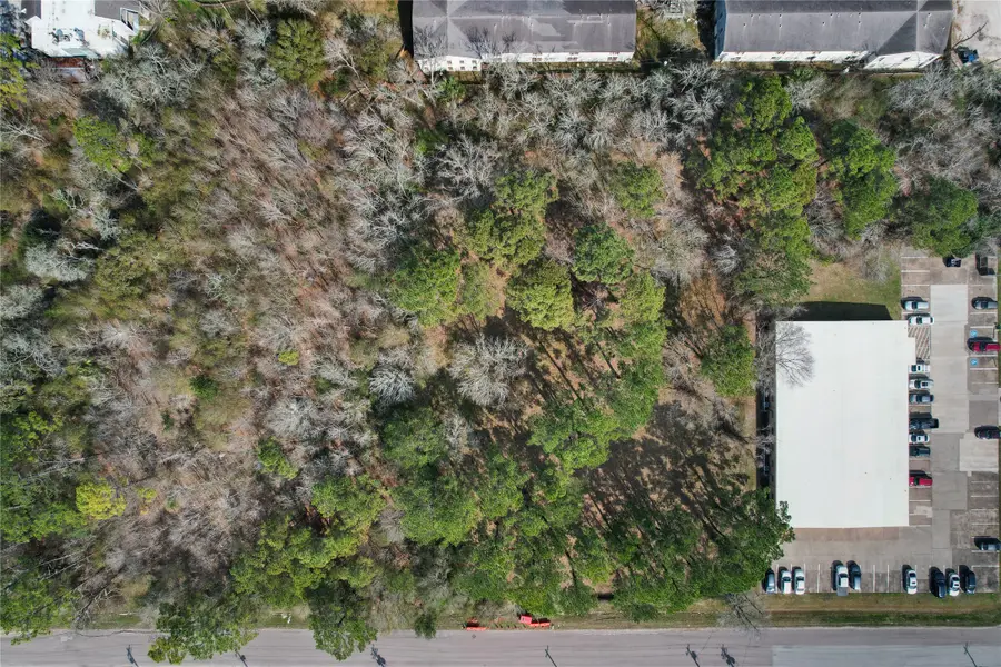 3205 Spruce Dr, Dickinson, TX 77539 - #2