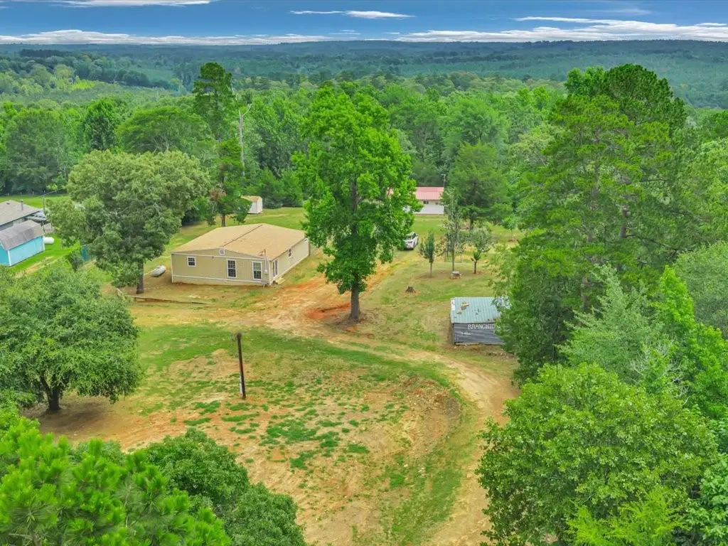 1967 County Road 2717, Alto, TX 75925 - #1