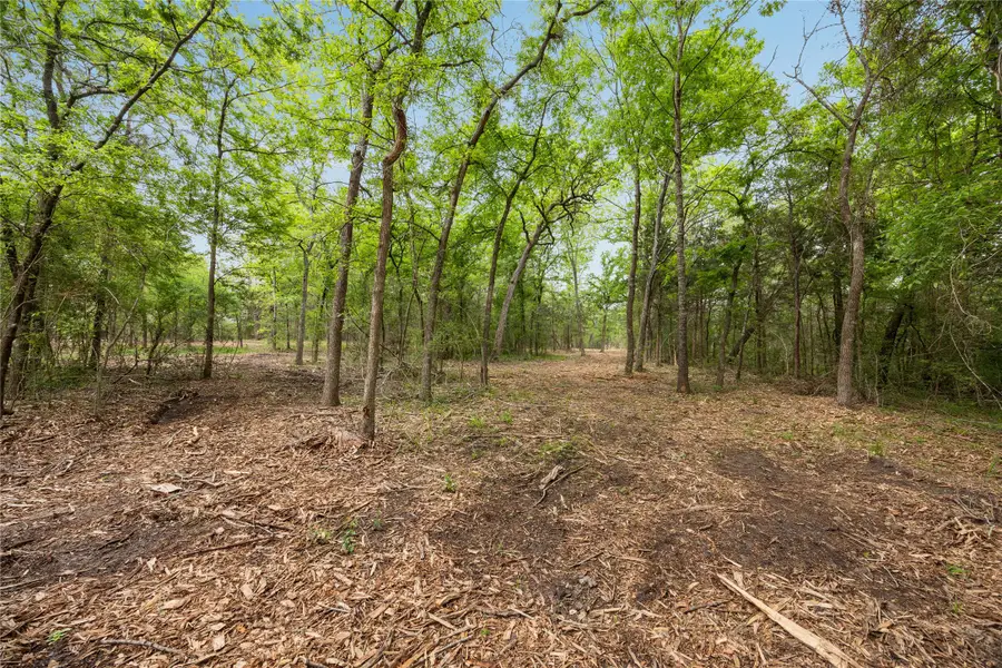 4577 Old Navasota Road, Brenham, TX 77833 - #3