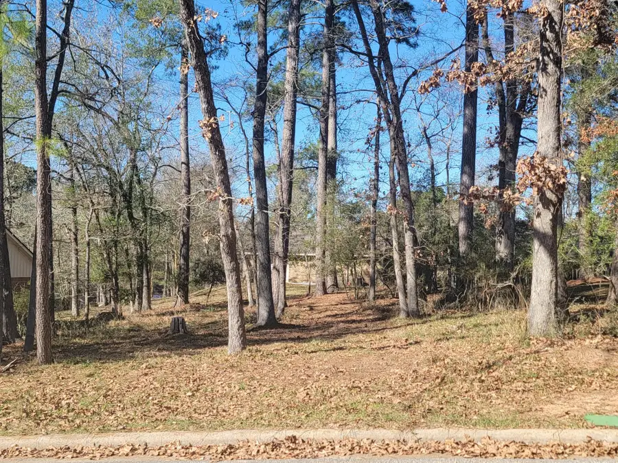 1909 Rollingwood Drive, Huntsville, TX 77340 - Image #3