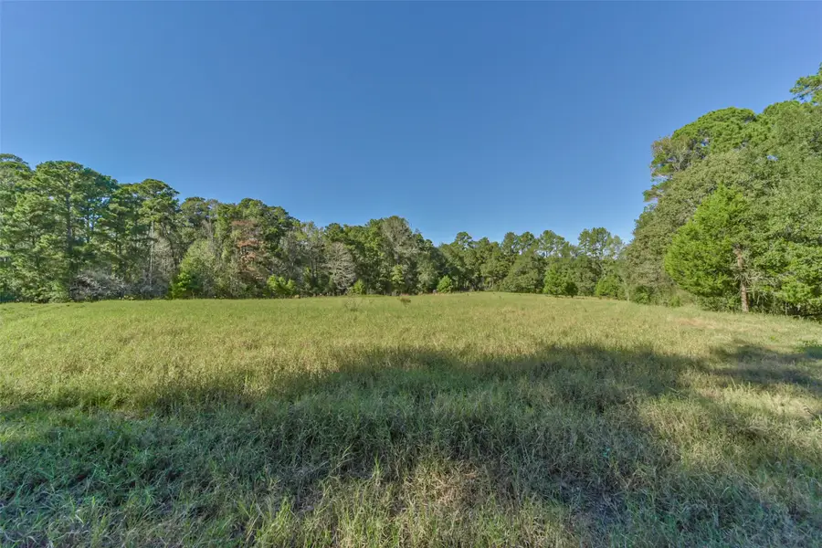 140 Little Road Loop, New Waverly, TX 77358 - #2
