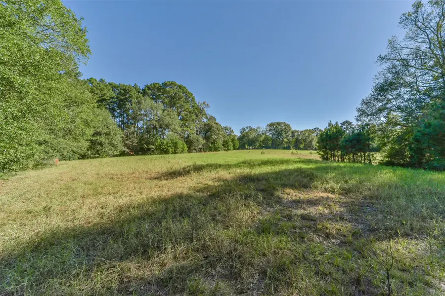 140 Little Road Loop, New Waverly, TX 77358 - #3