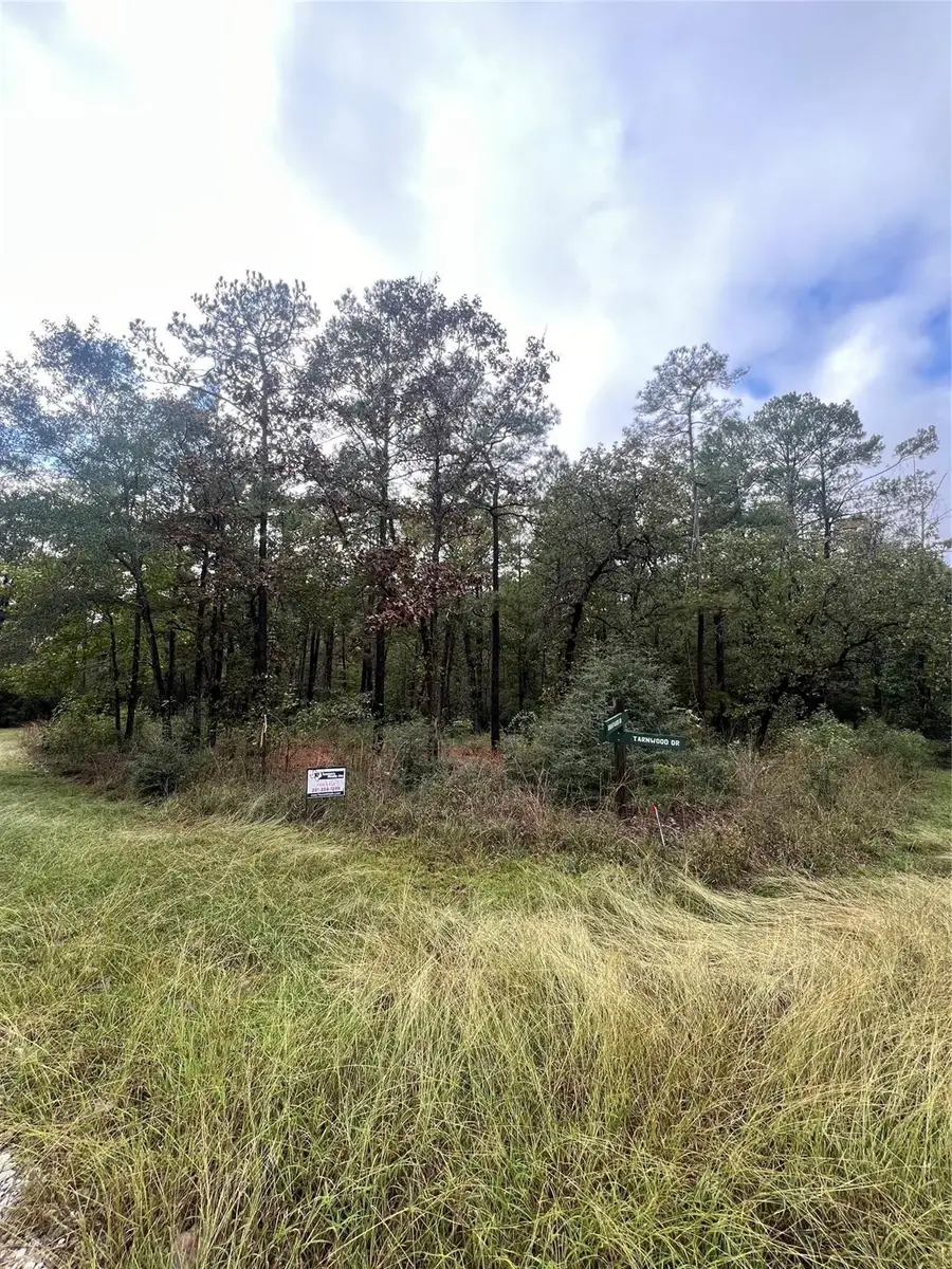 100 Tarnwood Drive, Brookeland, TX 75931 - #3