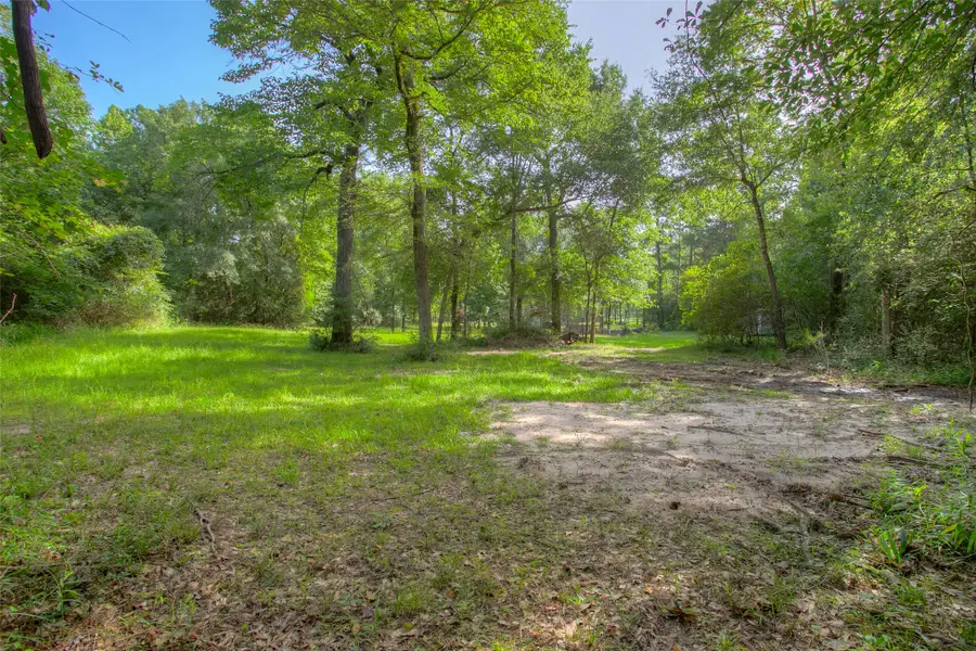 TBD Dahlia Road, Huntsville, TX 77320 - Image #3