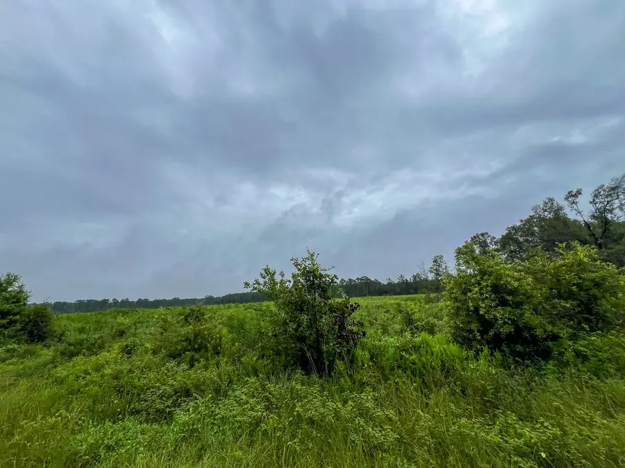 1 Fm 1276, Livingston, TX 77351 - Image #3