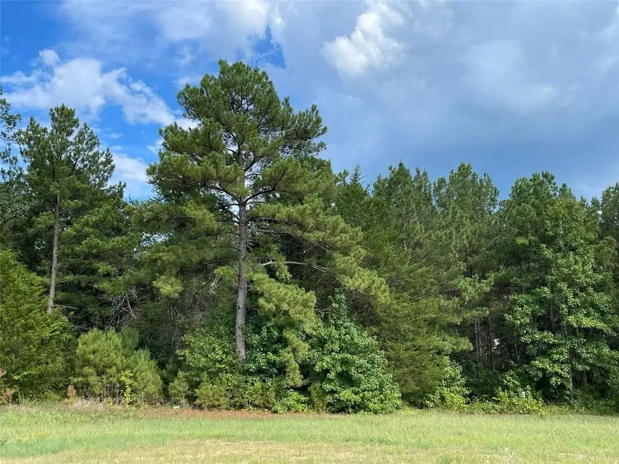 16068 Four Hills Rd, Willis, TX 77378 - #3