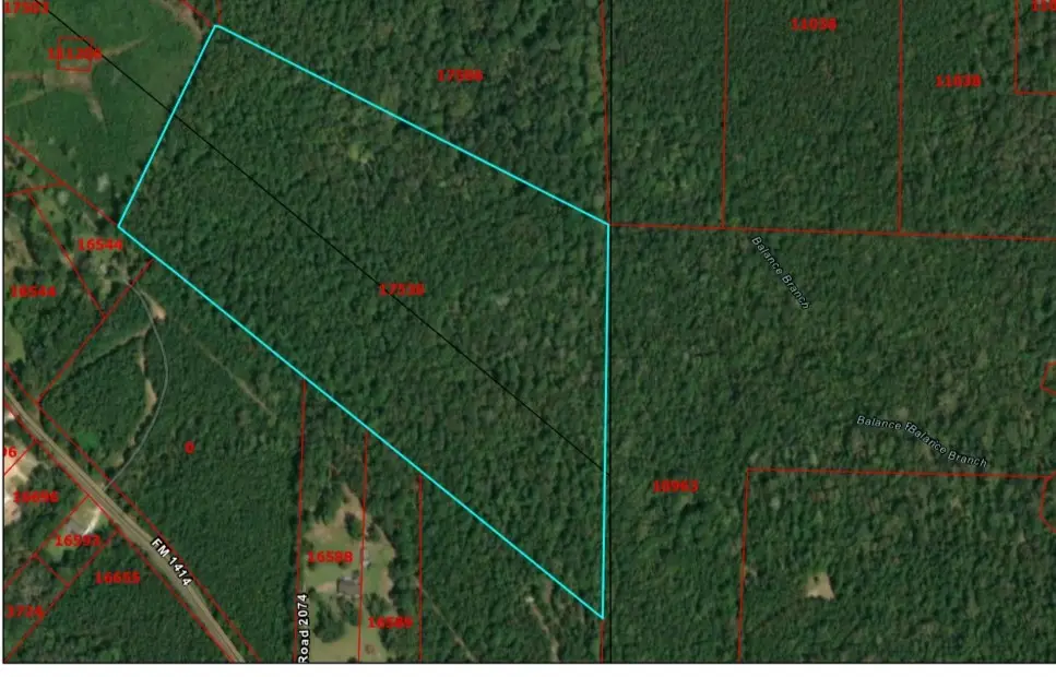 0 County Road 2073, Burkeville, TX 75932 - Image #1