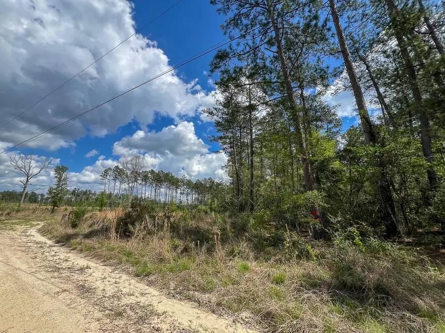 000 County Road 2834, Colmesneil, TX 75938 - #2