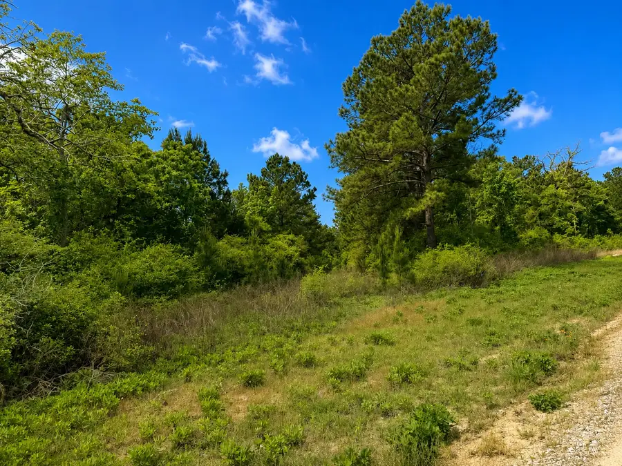Lot 14 Cr 114, Centerville, TX 75833 - #3