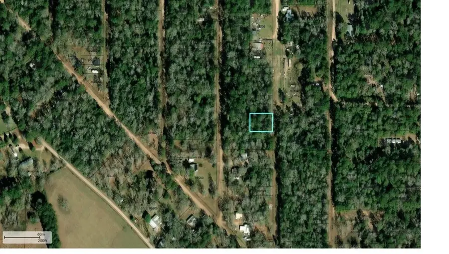 254 Bobby Baer Road, Livingston, TX 77351 - #3