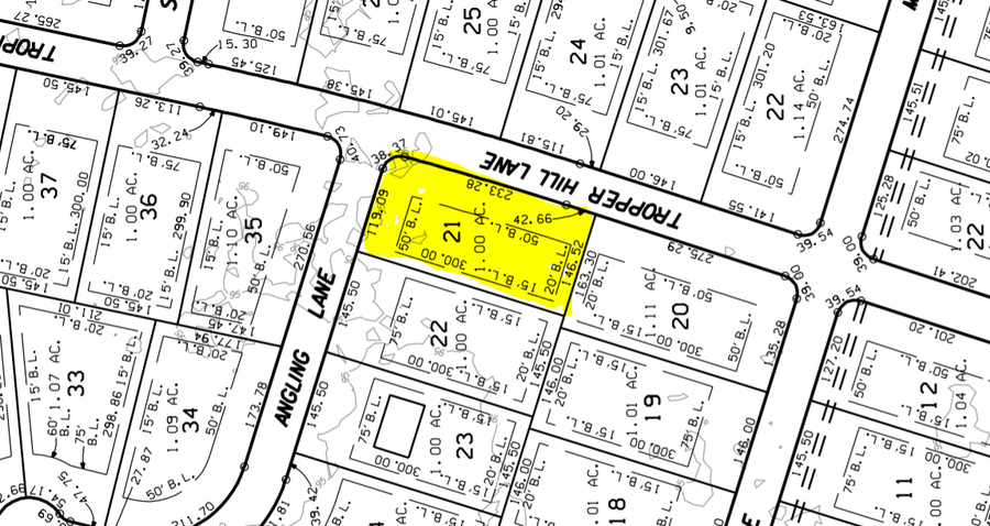 4138 Angling Lane, Southeast Montgomery, TX 77386 - Image #3