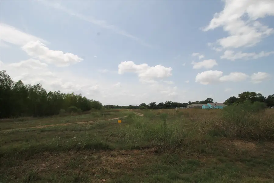 Lots 1-5 Washington Street, Hempstead, TX 77445 - #3