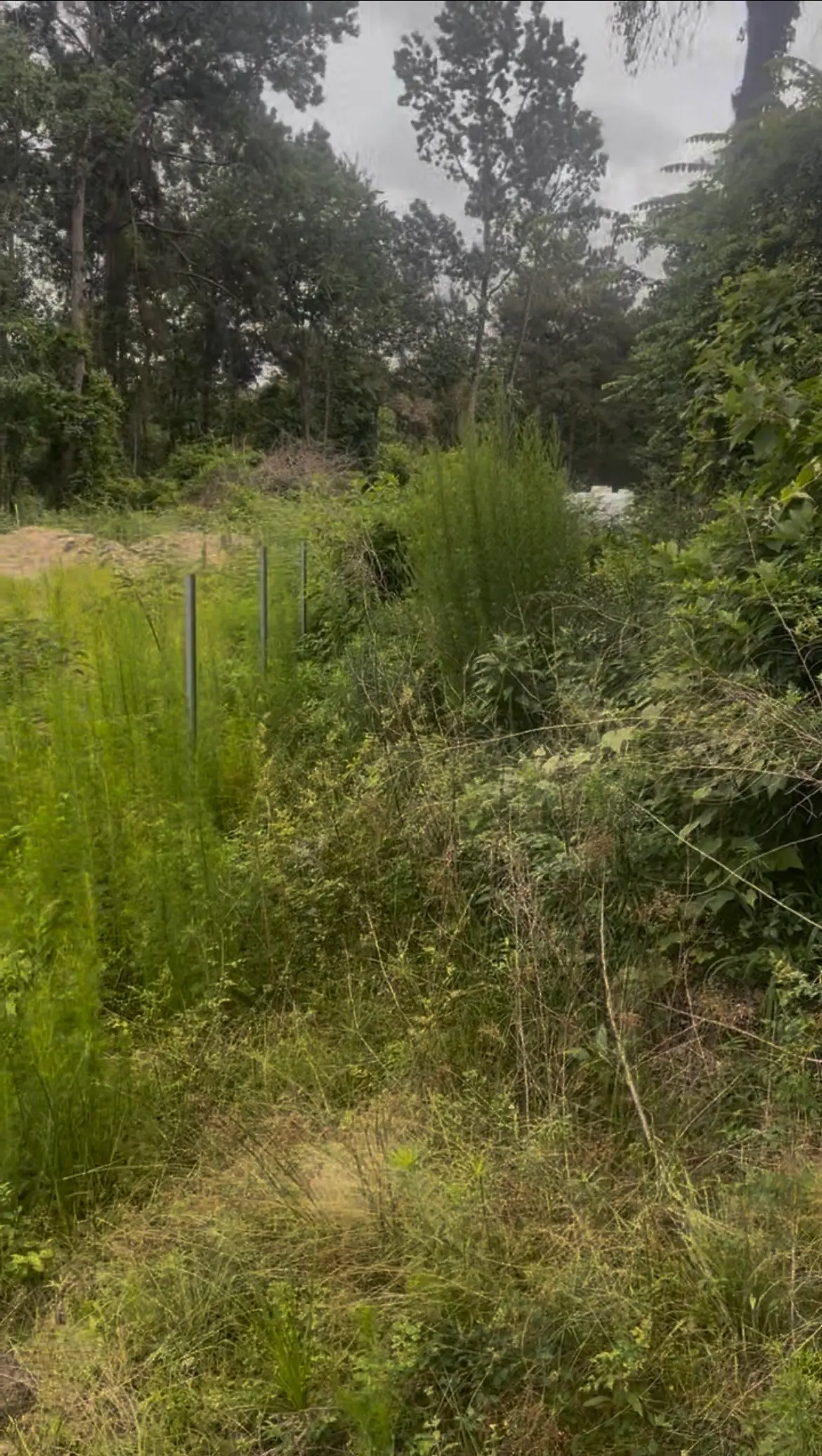 0-0 Hardy Road, Houston, TX 77073 - #1