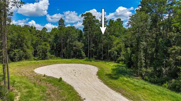 110 Romantic Dreams Ct, New Waverly, TX 77358