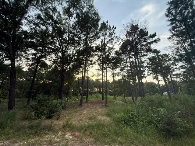 120 Pioneer Trail, Livingston, TX 77351 - #3