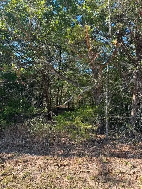 223 Houston Avenue, Somerville, TX 77879 - Image #2