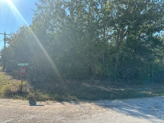 223 Houston Avenue, Somerville, TX 77879 - Image #3