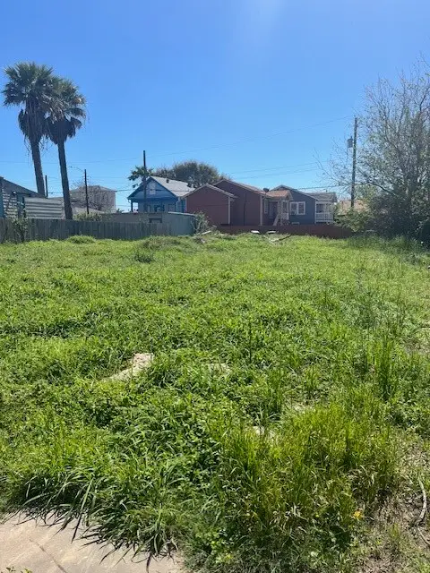 3819 Avenue S, Galveston, TX 77550 - #2