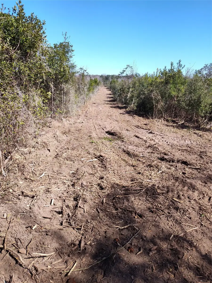 0 Fm-92 S, Spurger, TX 77660 - Image #2