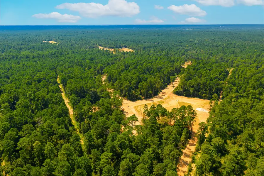 26524 Spyglass Drive, Montgomery, TX 77316 - Image #3