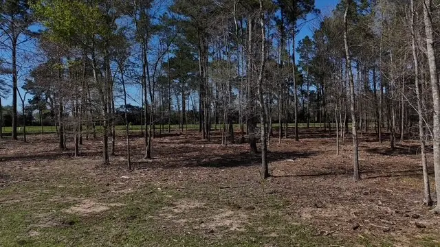 4335 Fm 1374 Road, Huntsville, TX 77340 - #2