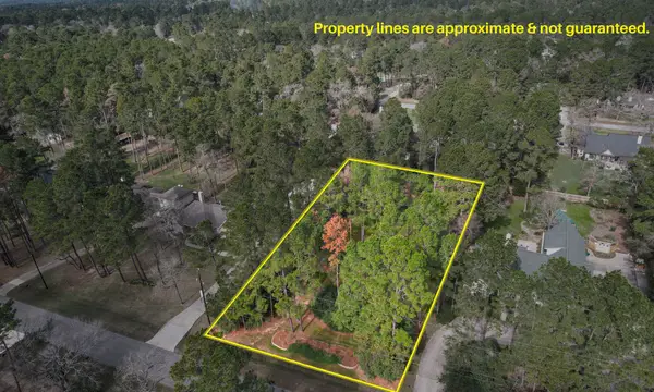 22314 Meadowsweet Drive, Magnolia, TX 77355