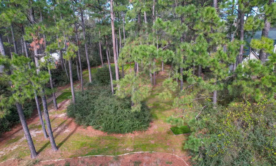 22314 Meadowsweet Drive, Magnolia, TX 77355 - Image #2