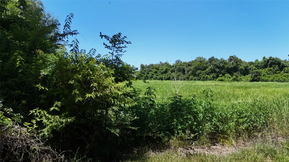 TBD County Road 748 Nar, Rosharon, TX 77583 - #1
