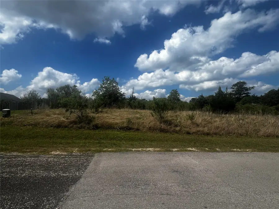 170 N Pine Harbour Drive, Coldspring, TX 77331 - #2