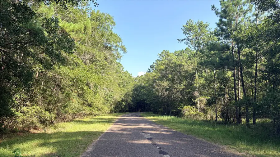 Lot 11 Hackberry Drive, Village Mills, TX 77663 - #2