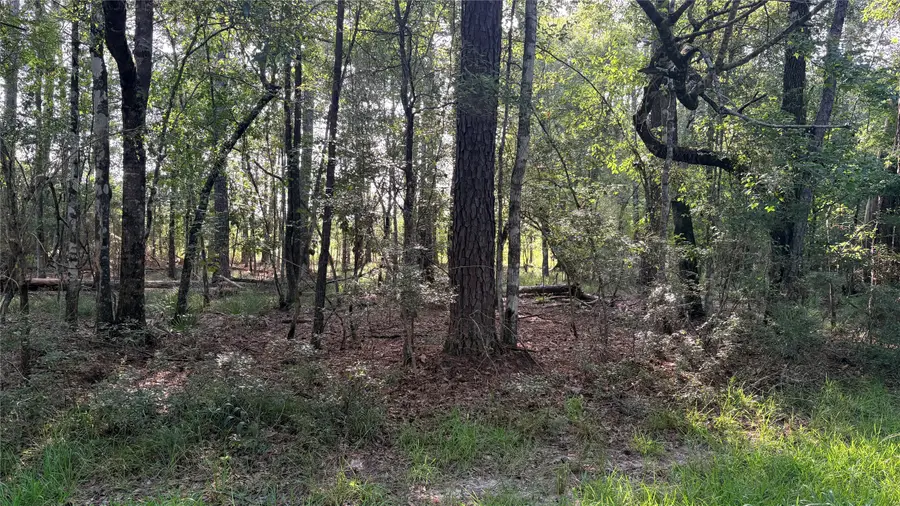 Lot 11 Hackberry Drive, Village Mills, TX 77663 - #3
