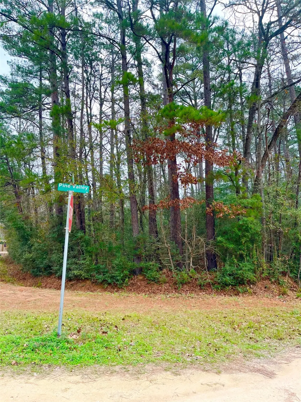 TBD Pine Valley Drive, Shepherd, TX 77371 - #1