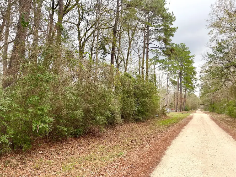 TBD Pine Valley Drive, Shepherd, TX 77371 - #2