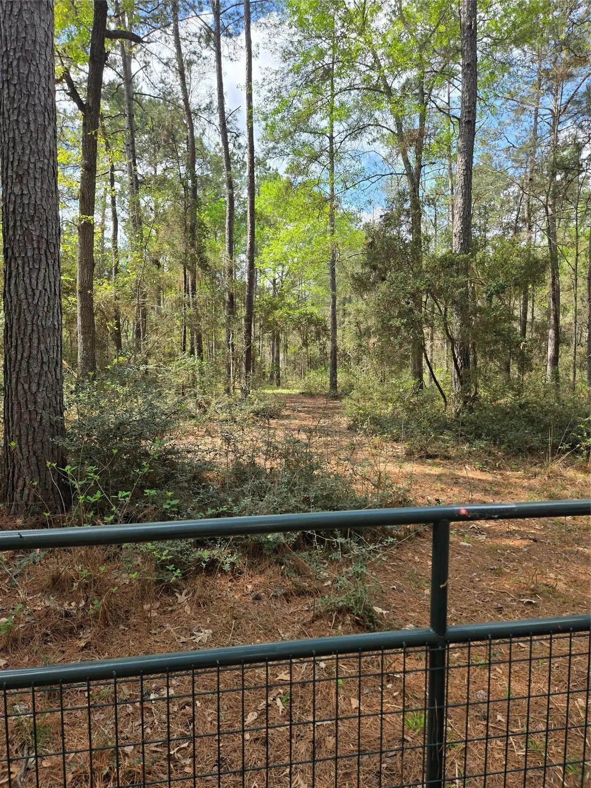 TBA Sanctuary Rd, Huntsville, TX 77340 - #1