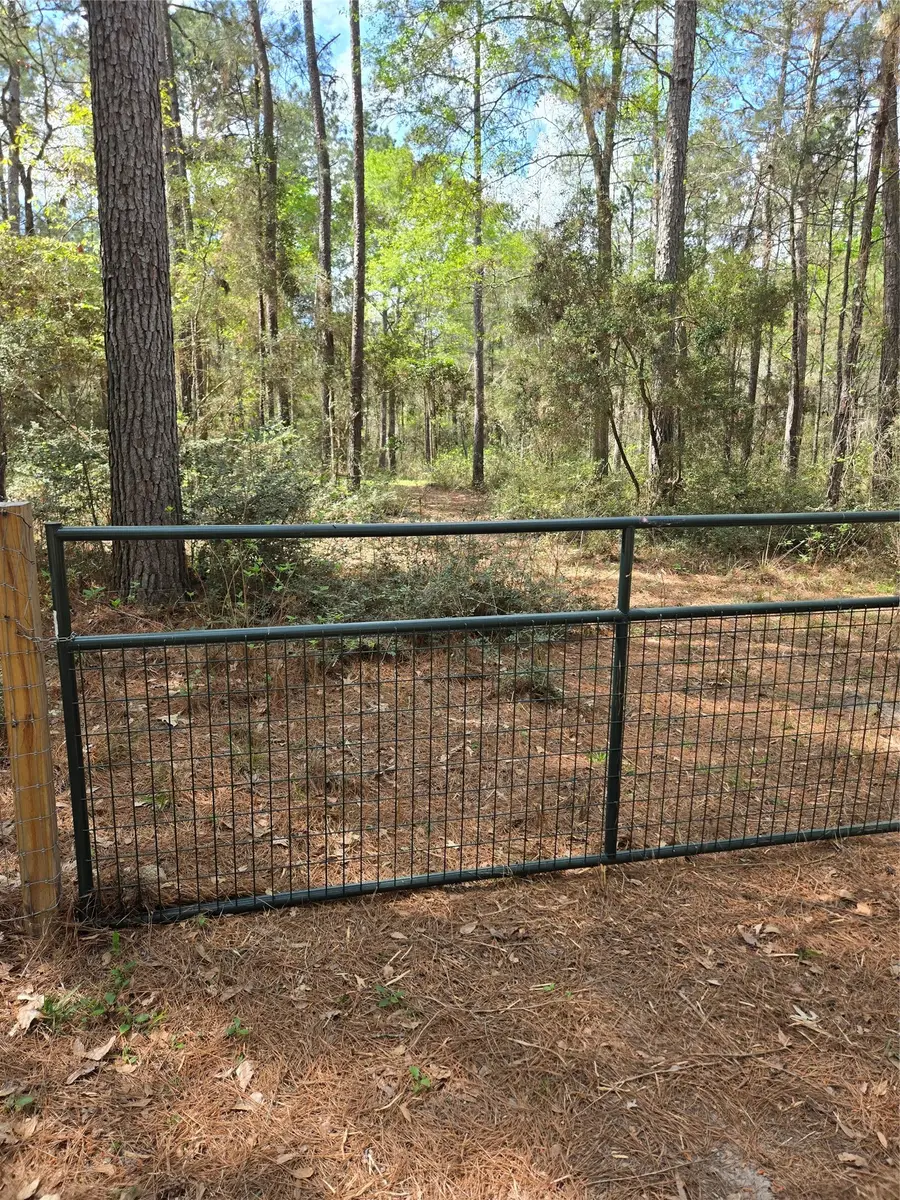 TBA Sanctuary Rd, Huntsville, TX 77340 - #2