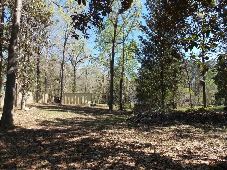 412 Driftwood Drive, Goodrich, TX 77335 - #2