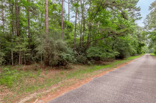 389 Live Oak Drive, Trinity, TX 75862