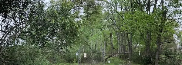 6121 Carson Road, Houston, TX 77048