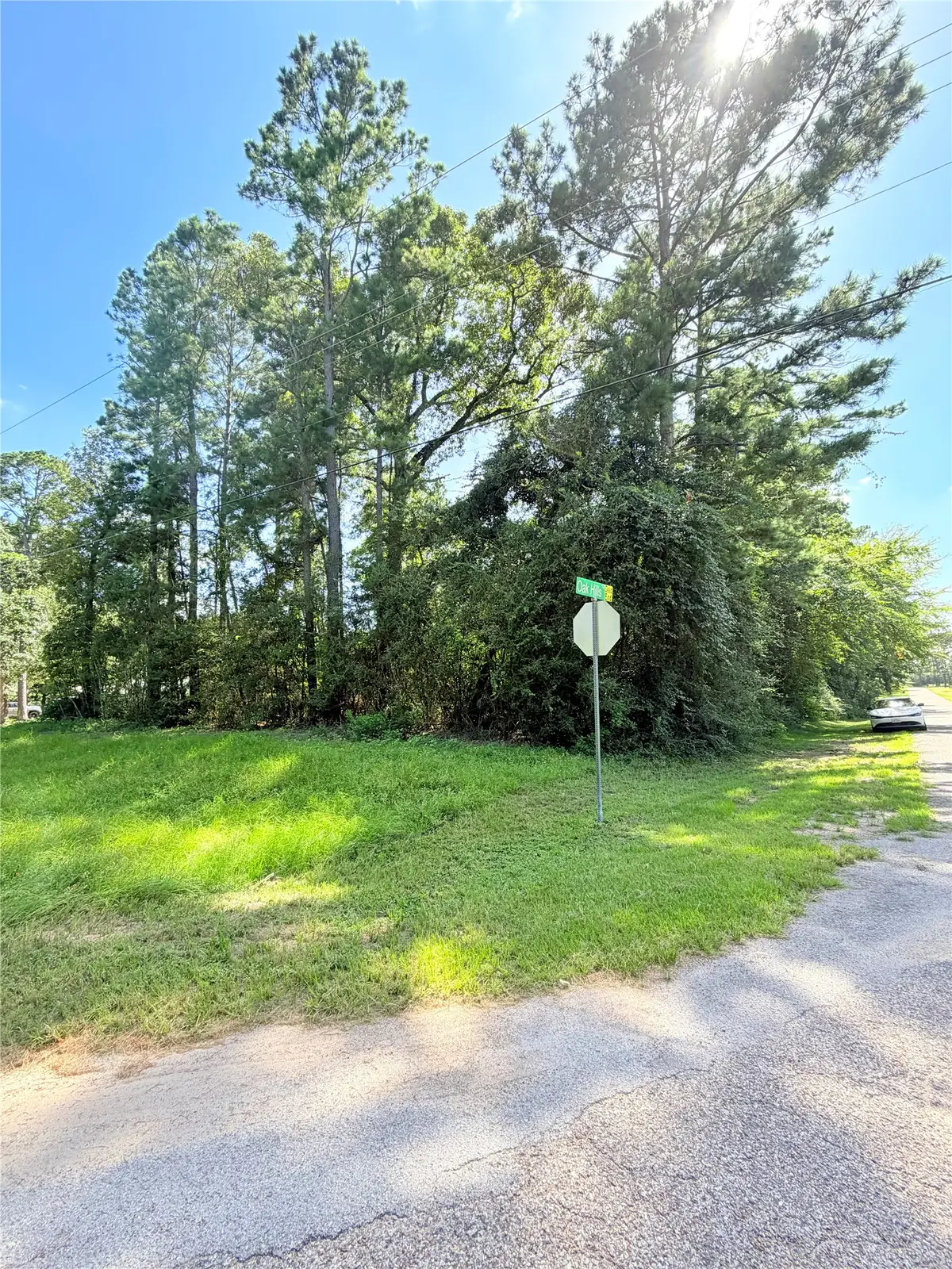 194 Oak Hollow Boulevard, Magnolia, TX 77355 - #1