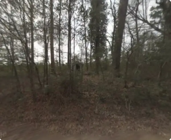 346 E Slumberlane Drive, Livingston, TX 77351