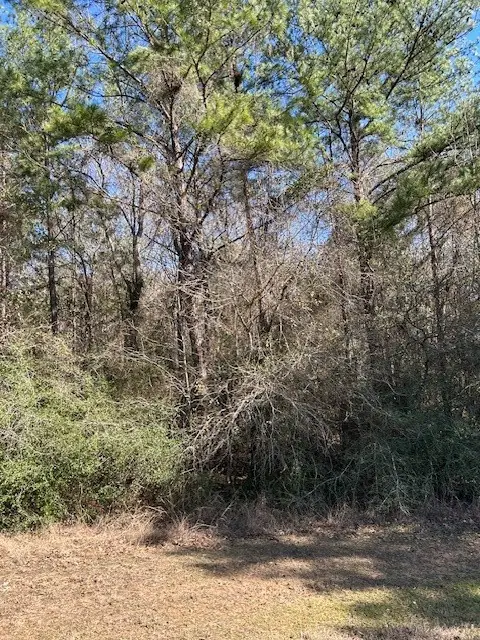 7994 Rodeo Drive, Waller, TX 77484 - #3