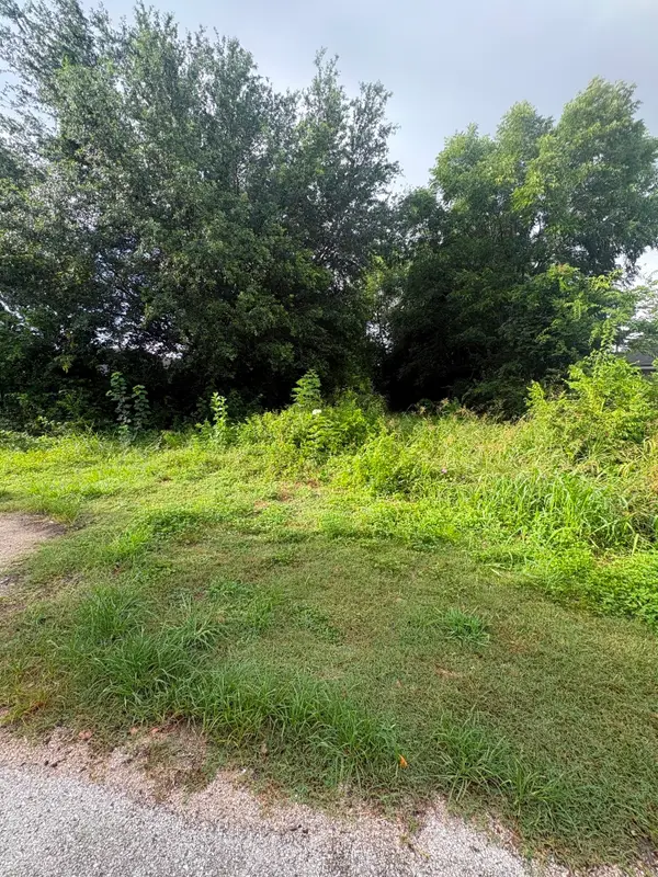 0 Botany Lane, Houston, TX 77075