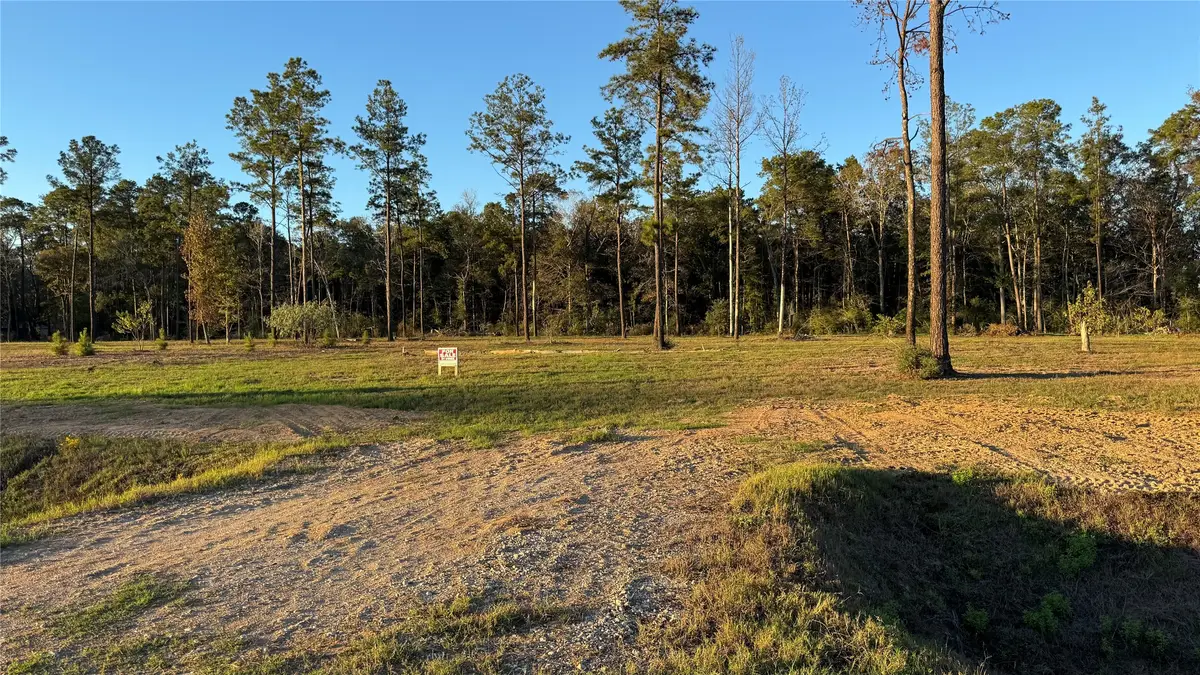 20039 Kincaid Drive, Conroe, TX 77306 - Image #1