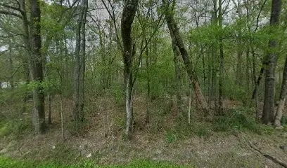 1555 Cherokee Street, Vidor, TX 77662 - #1