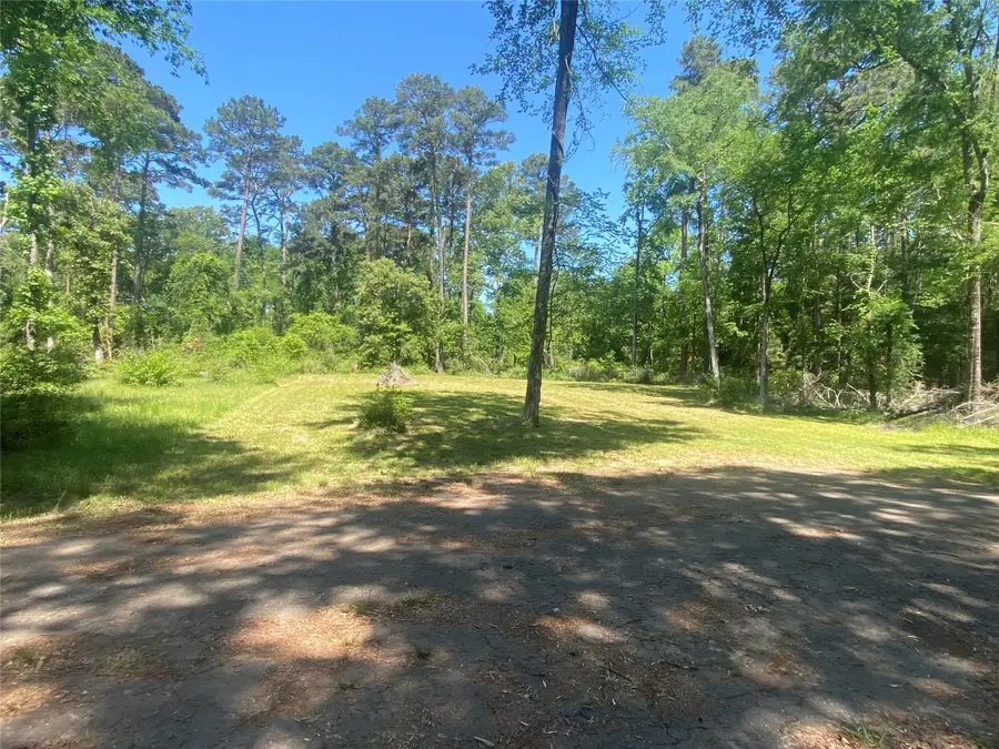 TR 29 Oak Pine Drive, Livingston, TX 77351 - #2