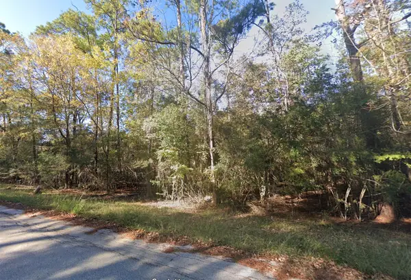 524 Echo Lane, Houston, TX 77336