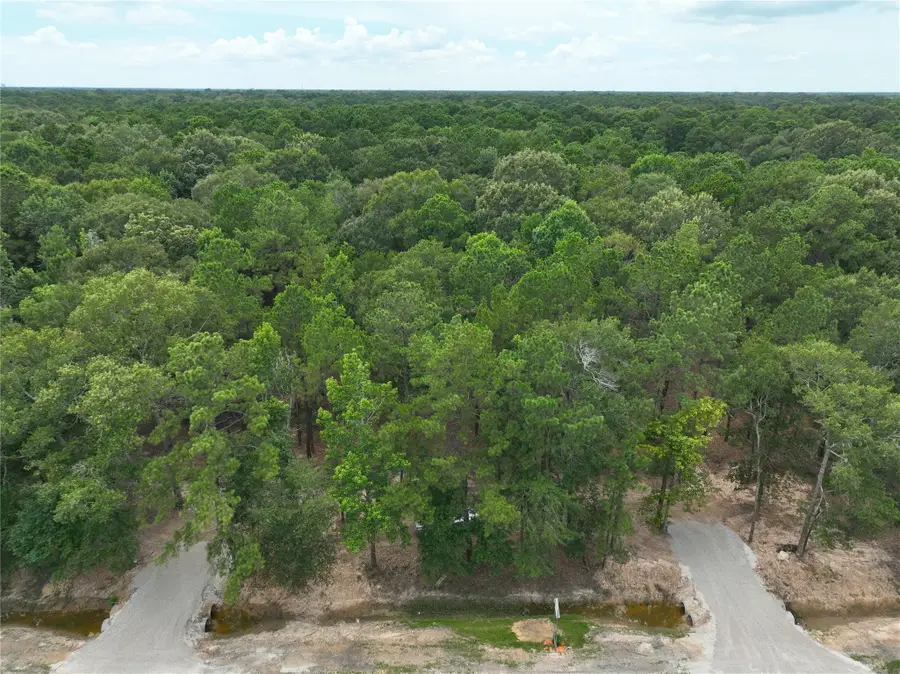 29633 Huffman Cleveland Road, Huffman, TX 77336 - #2