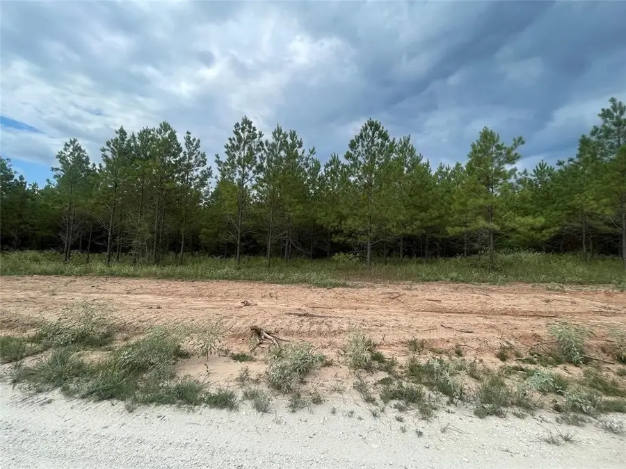 TBD Queen Anne Way, Huntsville, TX 77340 - Image #3