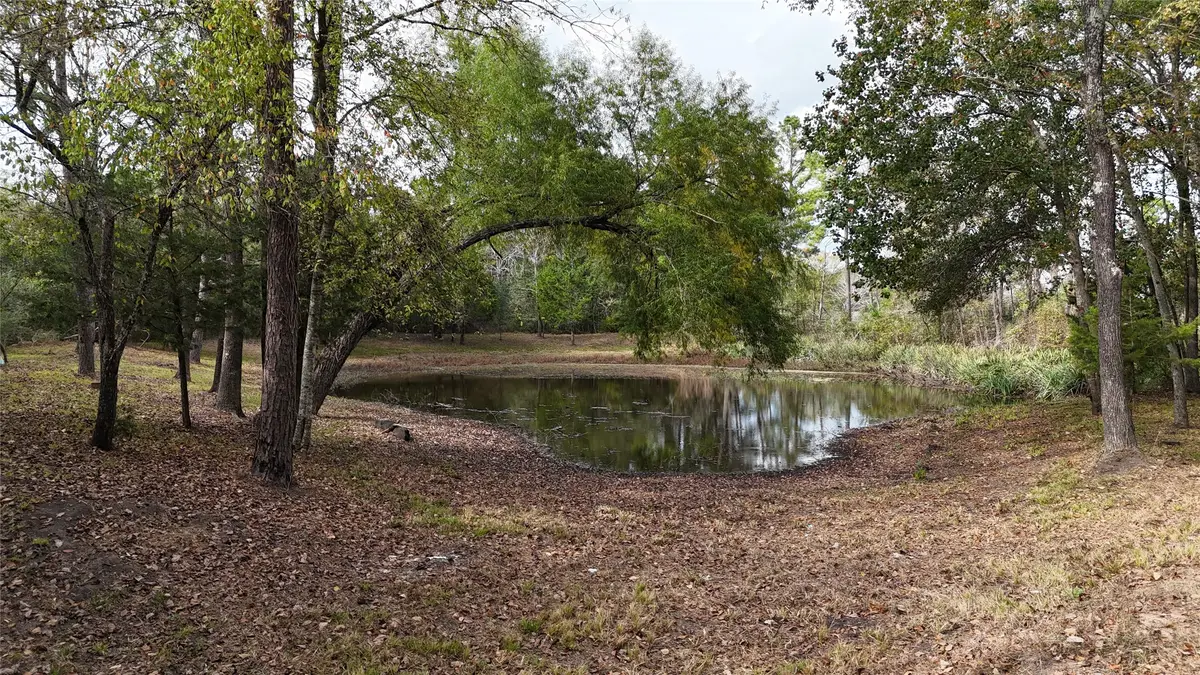 190 Andrea Lane, Coldspring, TX 77331 - Image #1